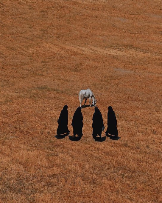 However, The Horse Has a Life, Deniz Sabuncu