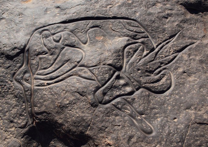 Sleeping antelope incised on rock