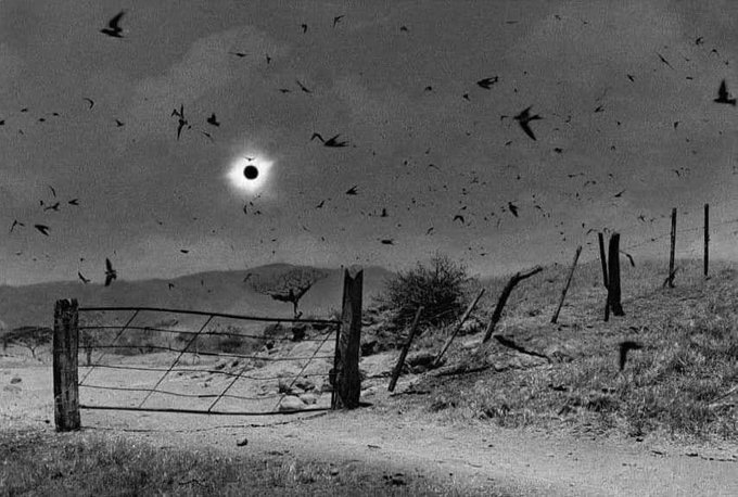 Total solar eclipse, 1991