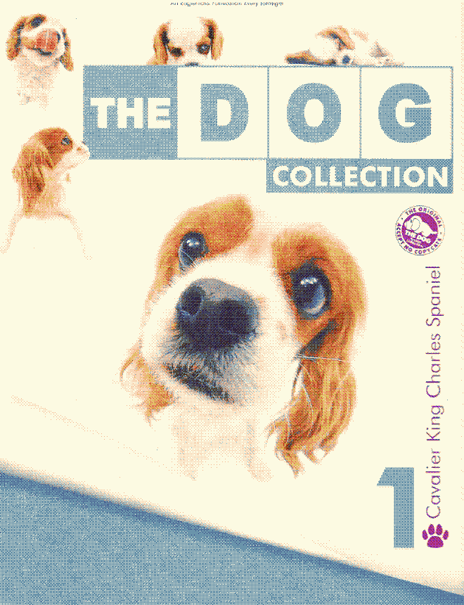 The Dog collection